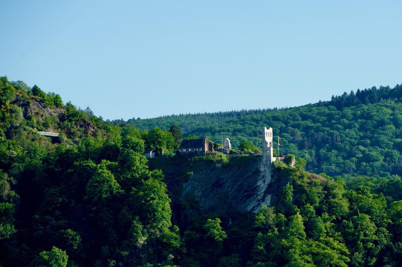 Neu - Premium-Ferienhaus Mosel-Sonne Traben-Trarbach Extérieur photo